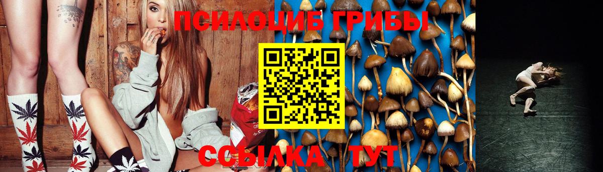 Галлюциногенные грибы Cubensis  Вход с VPN  Тюмень 